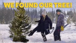 We Cut Down our First Colorado Christmas Tree! | FOUST FARM | Ep. 5