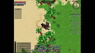 Shuja90 Live Stream |Ravenquest live stream | shuja90 Luu 90 guild | sunflower land | cambria