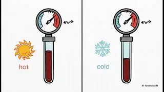 Capillary Action POV : How blood flows in our body 