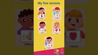 My five senses | learning kids #anatomy  #entertainment #humanbody #fact #biology #science #english