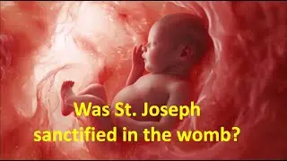 The 1-Minute Josephologist: 