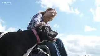 Paralyzed former deputy finds new freedom through service dog trained in prisoner program