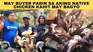 May buyer parin sa aking native chicken kahit may bagyo