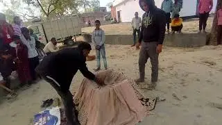 Masti blog #trending #video 
