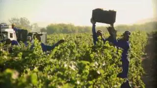 M&S Food: Meet the Winemaker - South Africa