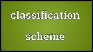 Classification scheme Meaning