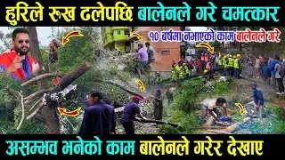 १० बर्ष कसैले नसकेको काम बालेनले गरे, म्यानमारको बिदेशी कामदारहरुको जादु - Balen Shah tree work