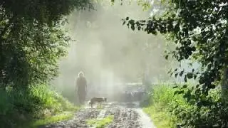 Het Brabantse Zandpad