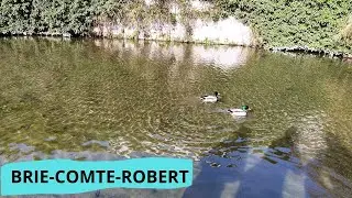 COMME UN AIR DE CAMPAGNE &Agrave; BRIE-COMTE-ROBERT (SEINE ET MARNE)
