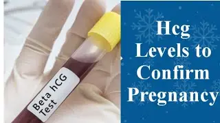 Hcg Levels for Healthy Pregnancy English@DeechusWorld