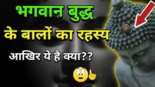 Buddha's Hair Secret | बुद्ध के बाल नही है तो क्या है / Buddha hair snails mystery / Buddha ke baal