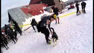Zimowy Ultramaraton Karkonoski 2015