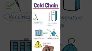 What is a cold chain? 🥶 ⛓️