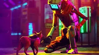 STRAY [4K 60FPS HDR] The Flat