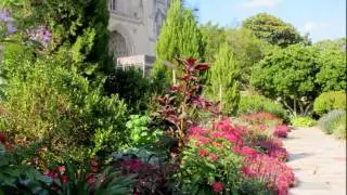 Bishop's Garden at the National Cathedral in AUGUST