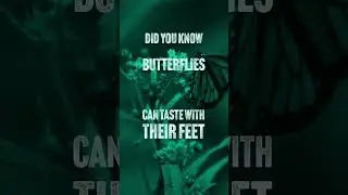 Mind melting facts #6