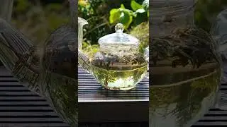 Pai Mu Tan
