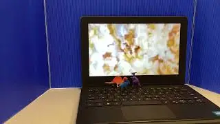 Dinosaurs Love Popcorn Fall 24