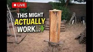 Will This Even Work? Chainsaw Carving