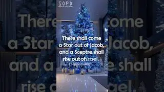 Blue Christmas Tree Music &bull; Guitar & Piano Holiday Carols &bull; Jesus&rsquo; Birth Message &bull; 4K #Shorts