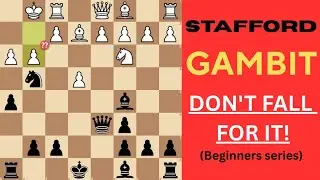 They Keep Falling for This Opening Trap&hellip; Don&rsquo;t Be Next! (Stafford Gambit)