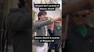 shayan ali isn't scared of nawaz sharif | #utube #viral #utubeshorts #pti #info