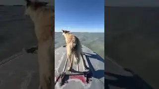 #piratest#Ocean#Clobal