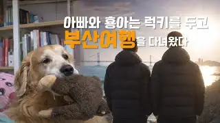 럭키 두고 떠난 아빠와 형아의 부산여행… 집에 돌아오자 난리 난 이유😂