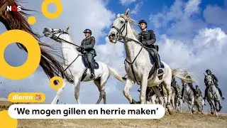 Kinderen laten paarden schrikken als oefening voor Prinsjesdag