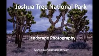 Joshua Tree National Park | Landscape Photography