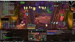 The Pond Naxx Raid 2026 01 22
