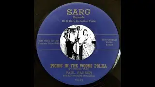 TEXAS DANCEHALL STANDARDS: Paul Barsch & his Orchestra / Picnic in the Woods Polka / Sarg / 1960s