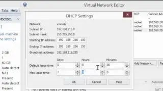 Configuring a Virtual Network with DHCP in VMware