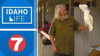 There's a chance you've seen this guy walking with a menagerie of macaws and parrots.