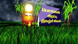 VEL TECH-ன் பொங்கல் சிறப்பு நிகழ்ச்சிகள் 2026உங்கள் Brio tv-யில் காணத்தவறாதீர்கள்! #pongal #veltech