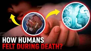 How Human Feel During Death? Islam And Science