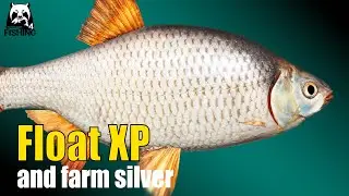Russian Fishing 4 - Seversky Donets River - Float XP and Silver farm #rf4 #russianfishing4 #fishing