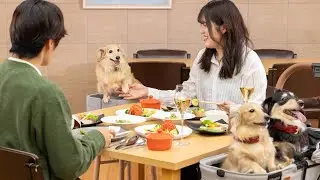 KAMENOI HOTEL SHIOBARA &mdash; отель, где разрешено проживание с собаками | Насусиобара, Япония | Обзор...