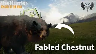 Killing the Fabled Chestnut Black bear!!-call of the wild