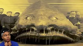 Ужасающие морские существа, описанные в секретных документах ВМФ