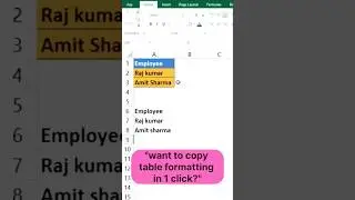 Excel Format Painter Shortcut | Copy Table Style in 1 Click!📊