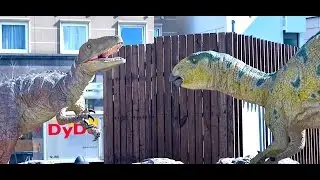Japanese Dinosaurs Fight in Fukui!
