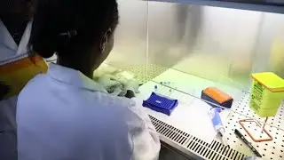 Sénégal, LUTTE CONTRE LE PALUDISME