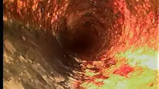 Dunedin Sewer Pipe Inspection