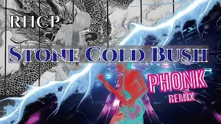 RHCP - Stone Cold Bush (Phonk Remix) | Aggressive SLAP BASS Transformation