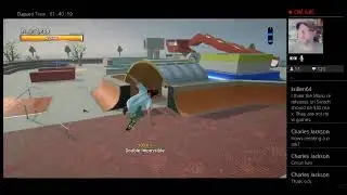 Tony Hawk 1 & 2 and Chill Stream PS4 w/CaptNRetro