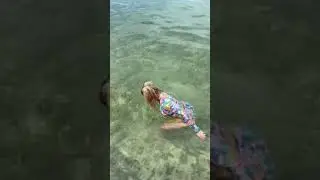 #шорты в поисках самой красивой ракушки на Багамах