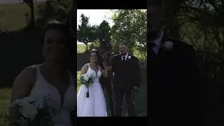 Michigan Wedding portraits with horses