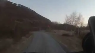 Gutvik/kraftforlevering