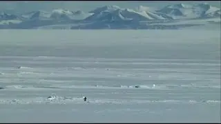 Existential Crisis of A Penguin - Call of the Mountain - 1 Hour